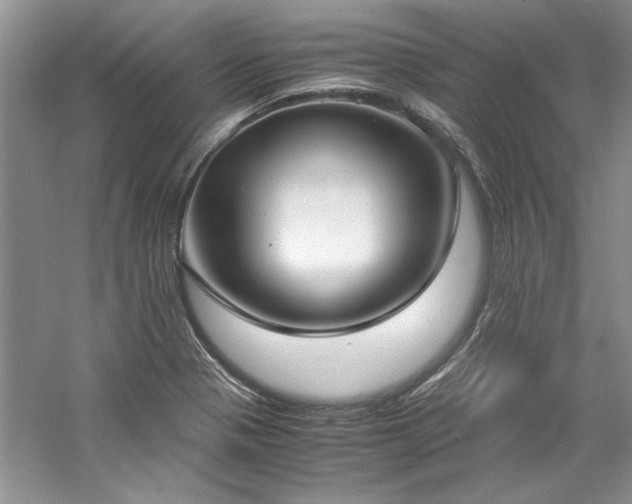 X0000061721321200512021328