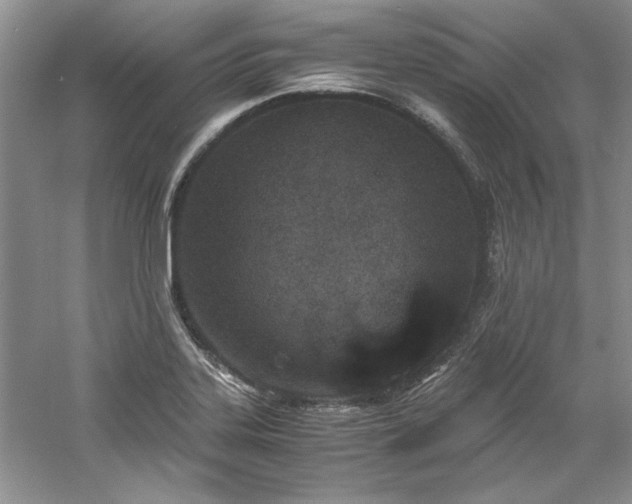 X0000061721323200512021328
