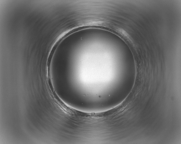 X0000061721324200512021328