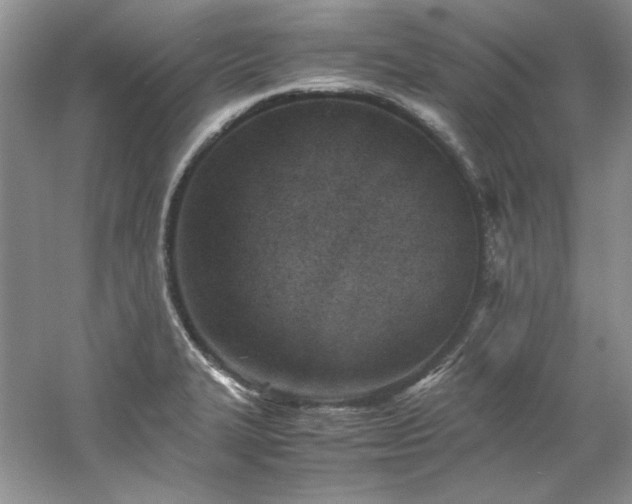 X0000061721327200512021328