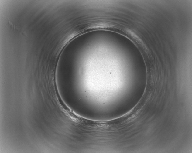 X0000061721329200512021328