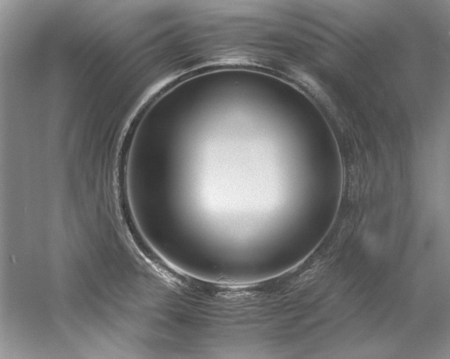 X0000061721331200512021328