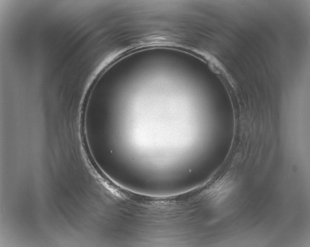 X0000061721333200512021328