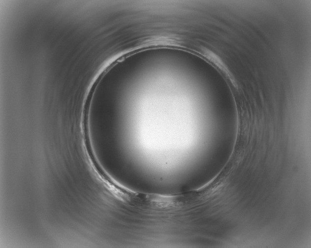 X0000061721339200512021329