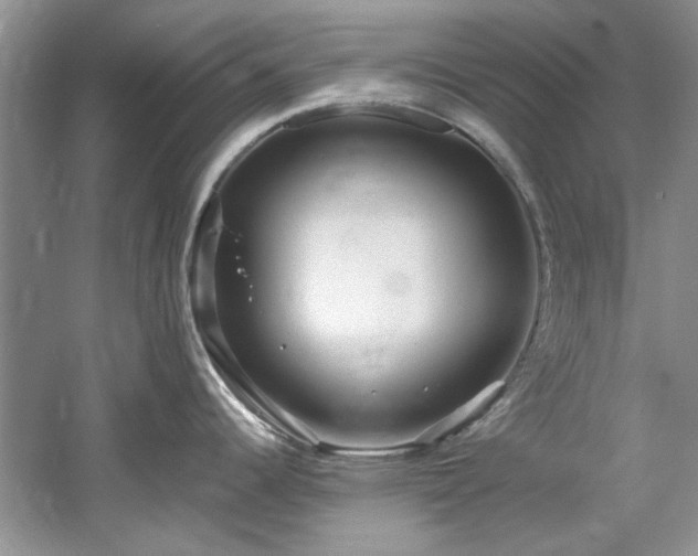 X0000061721344200512021329