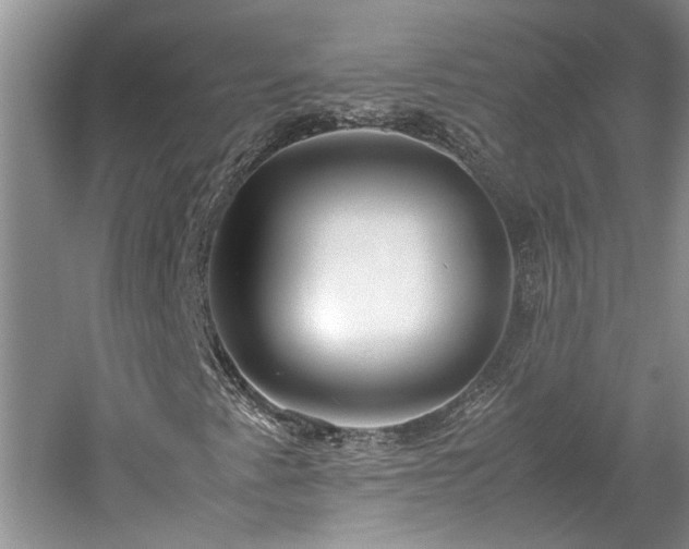 X0000061721345200512021328
