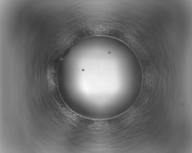 X0000061721346200512021328