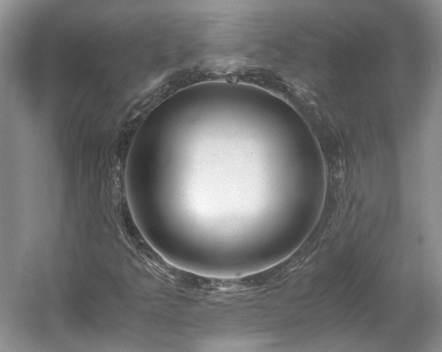 X0000061721349200512021328