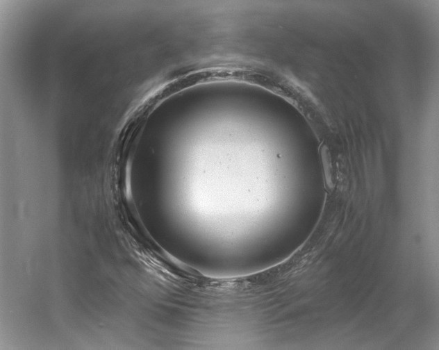 X0000061721352200512021328