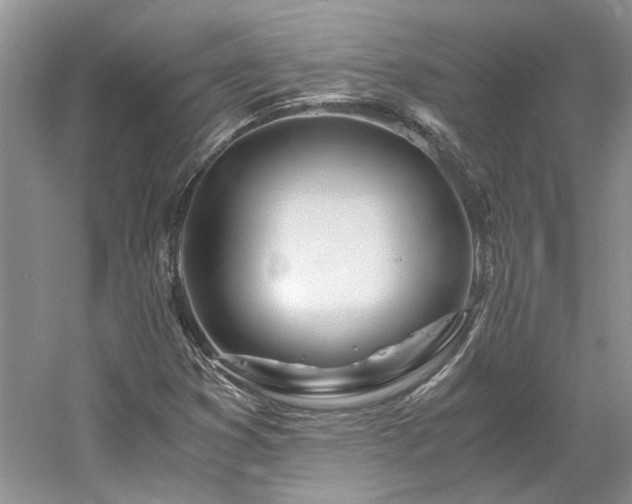 X0000061721353200512021328