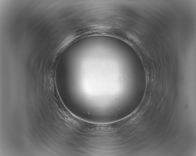 X0000061721354200512021328