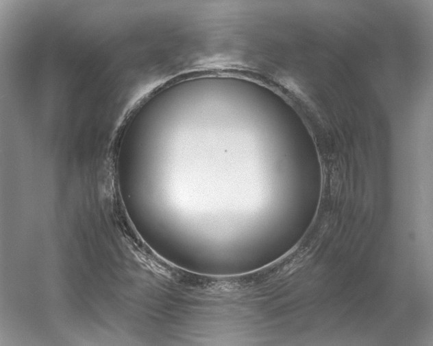 X0000061721358200512021328