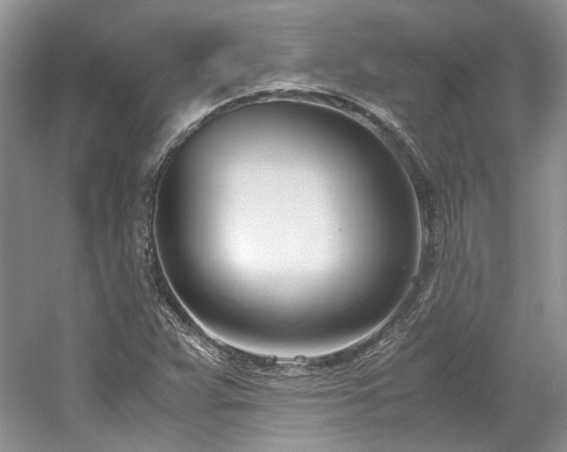 X0000061721359200512021328