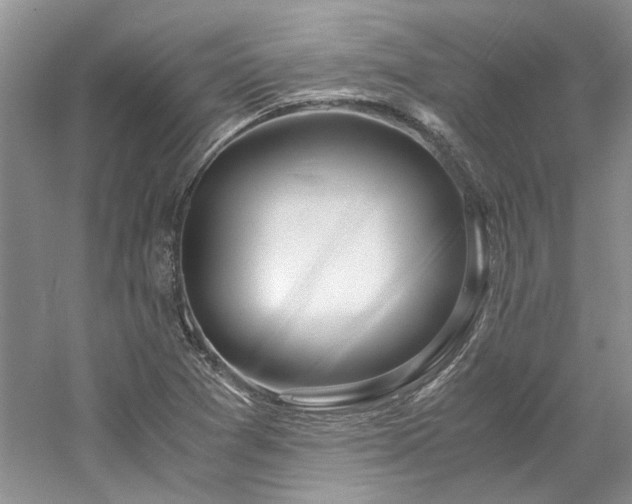 X0000061721361200512021328