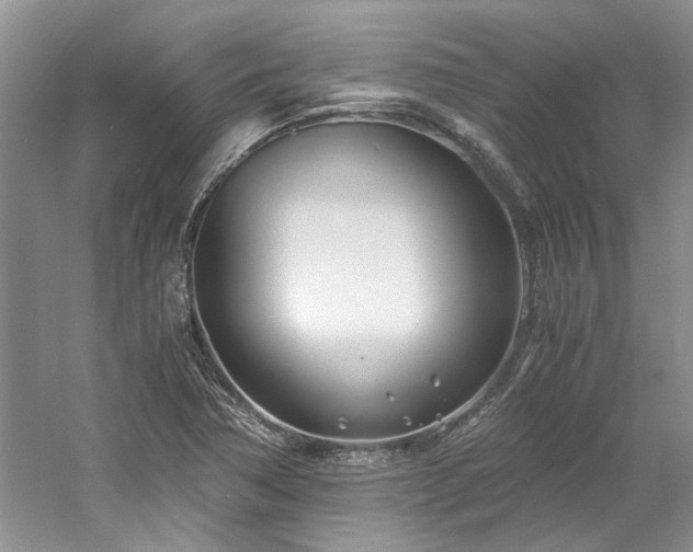 X0000061721362200512021327