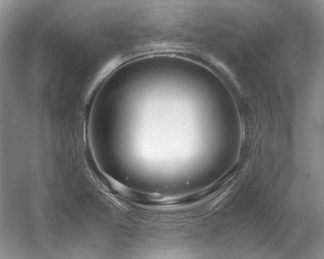 X0000061721365200512021327