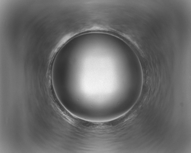 X0000061721367200512021327