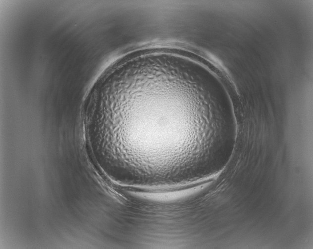 X0000061721368200512021327