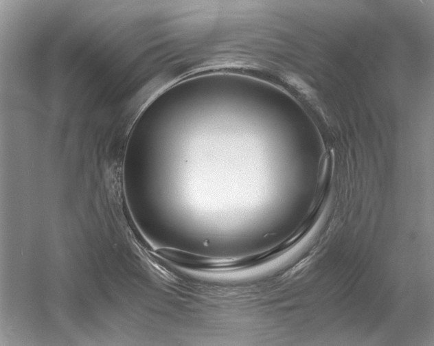 X0000061721369200512021327
