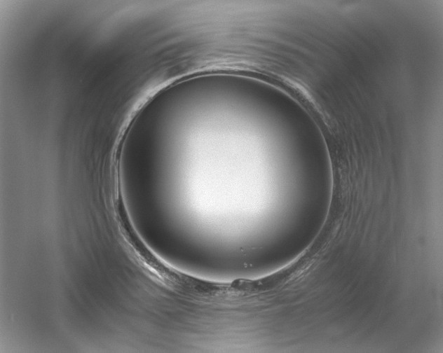 X0000061721371200512021327