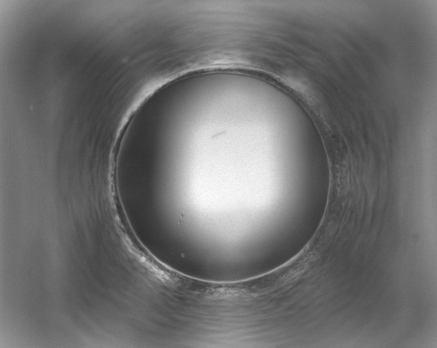 X0000061721374200512021327