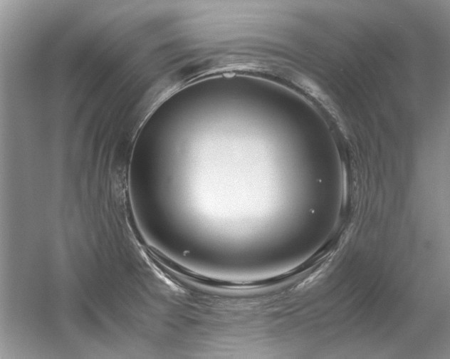 X0000061721377200512021327