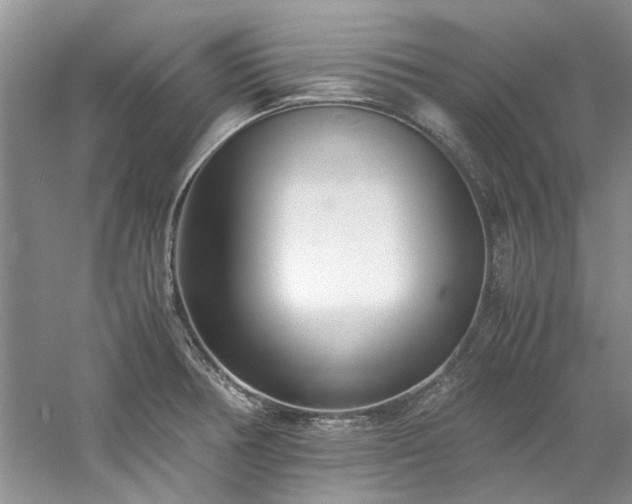 X0000061721378200512021327