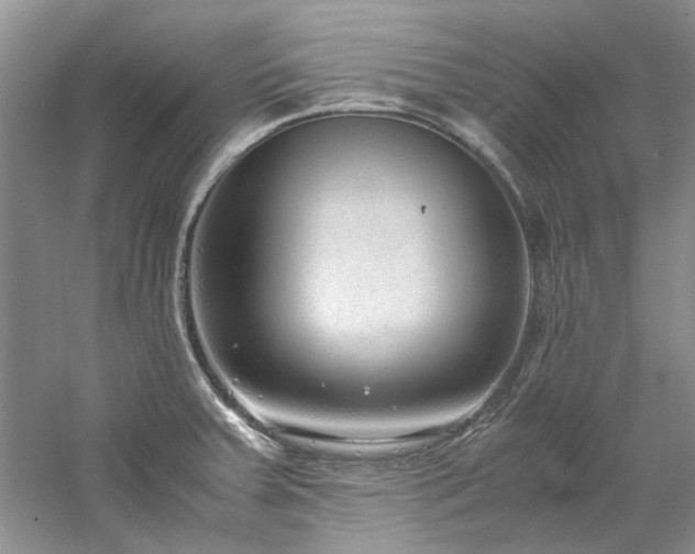 X0000061721379200512021327