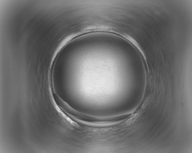 X0000061721389200512021327