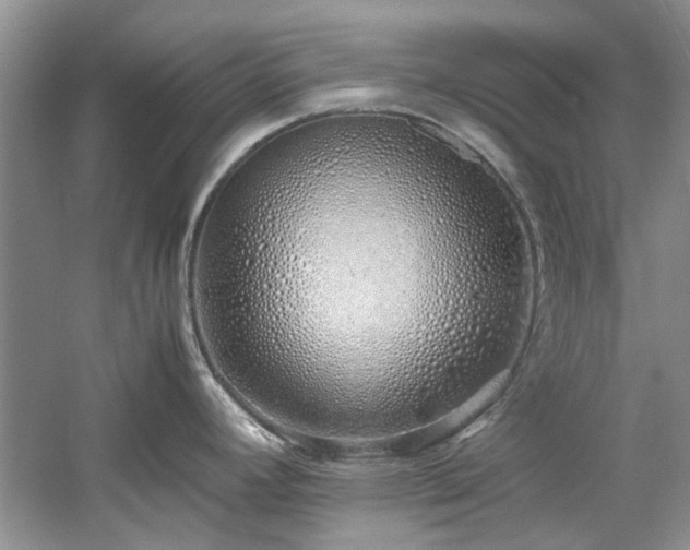 X0000061721392200512021327
