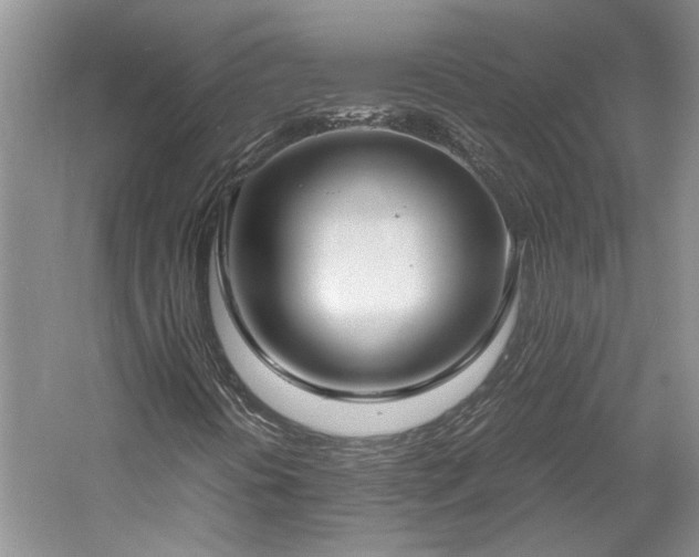 X0000061721394200512021326