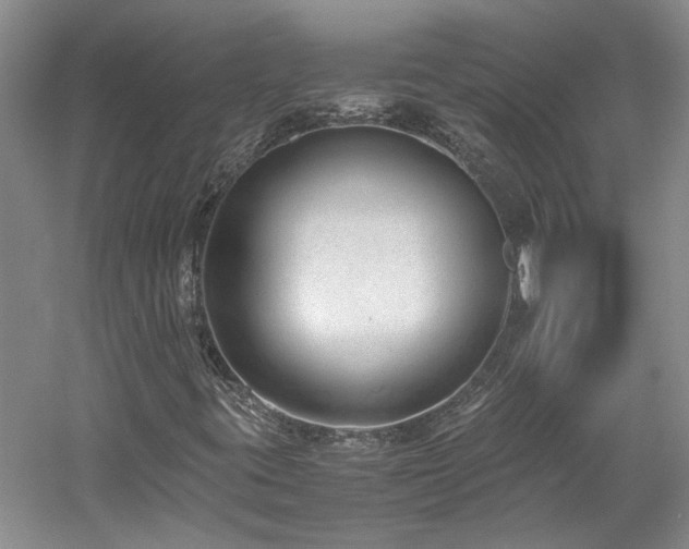X0000061721395200512021326