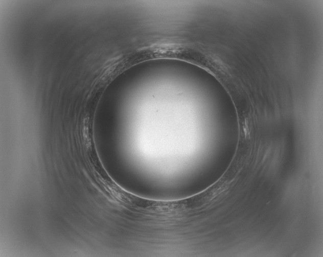 X0000061721396200512021326