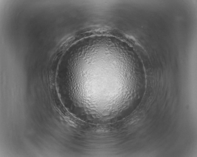X0000061721399200512021326