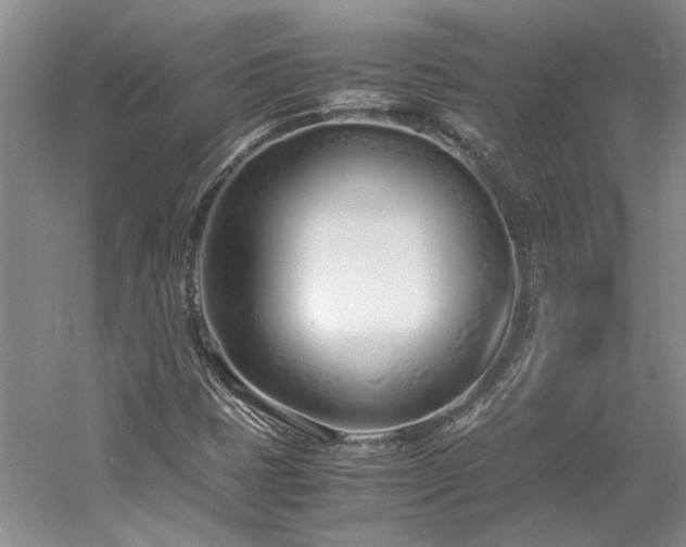 X0000061721401200512021326