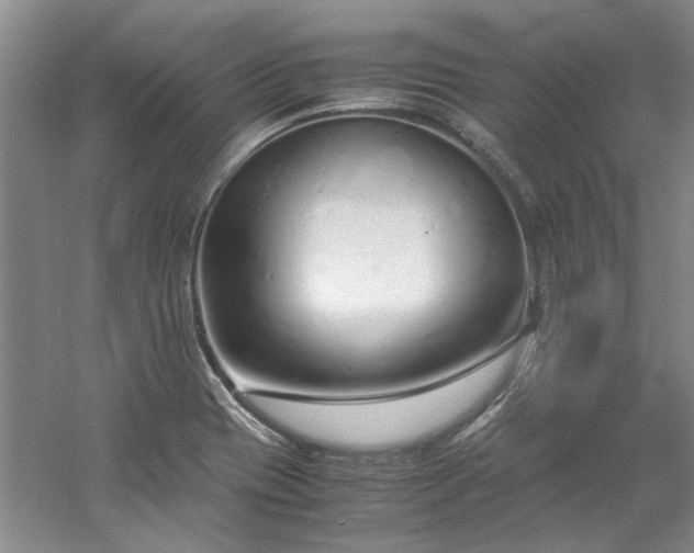X0000061721417200512021327