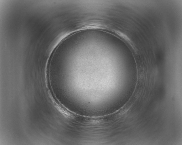 X0000061721423200512021327