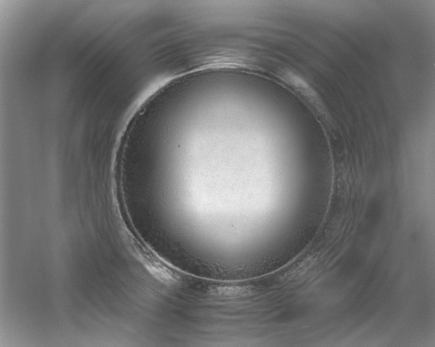 X0000061721427200512021327