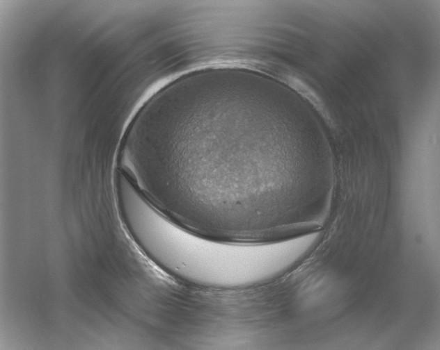 X0000061721428200512021327