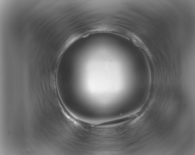 X0000061721433200512021327