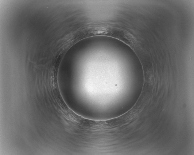 X0000061721442200512021326