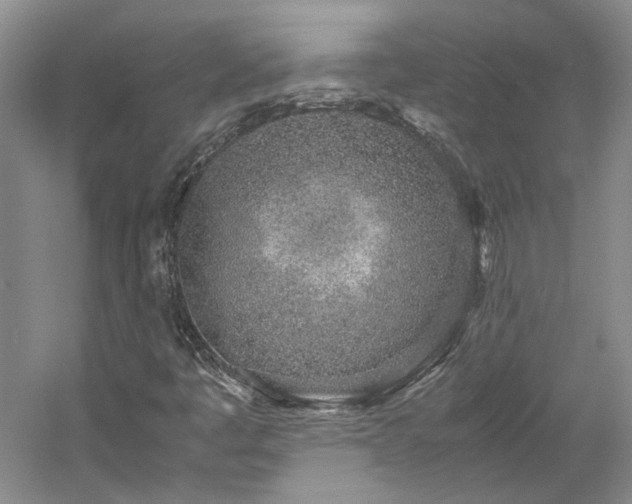 X0000061721445200512021326