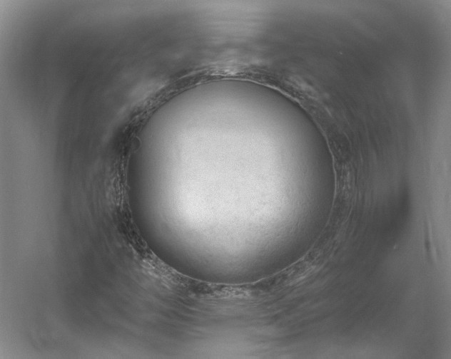 X0000061721446200512021326