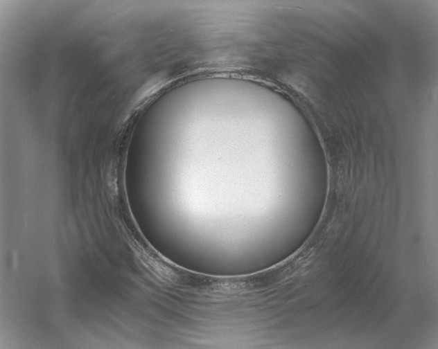 X0000061721451200512021326