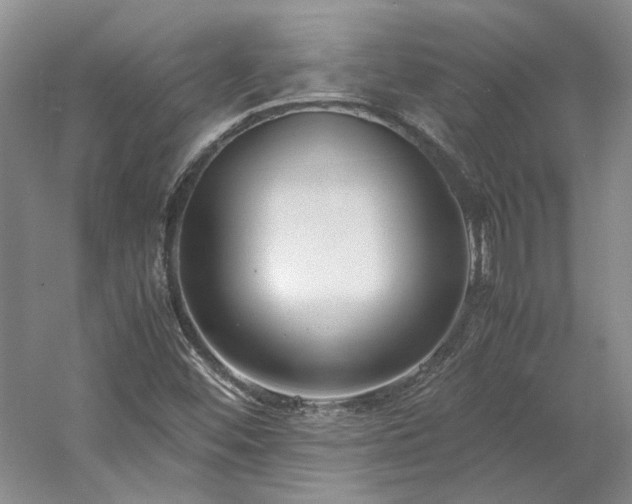 X0000061721452200512021326