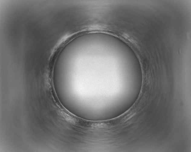 X0000061721454200512021326