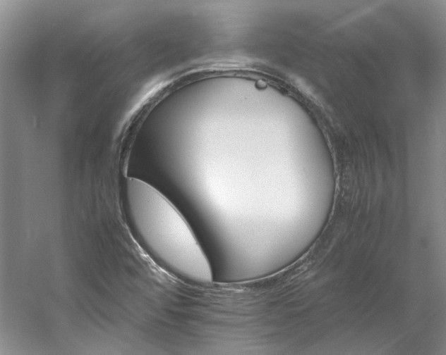 X0000061721456200512021326