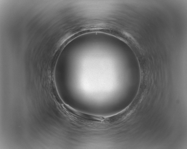 X0000061721457200512021326