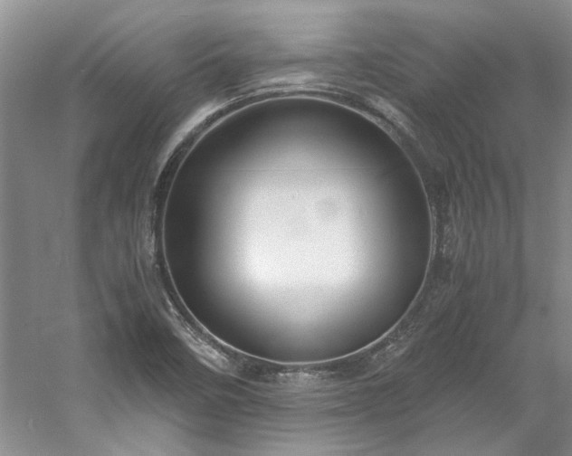 X0000061721458200512021326