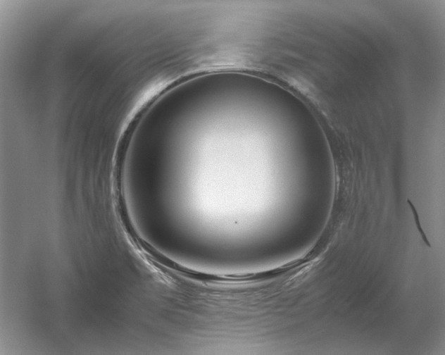 X0000061721469200512021326